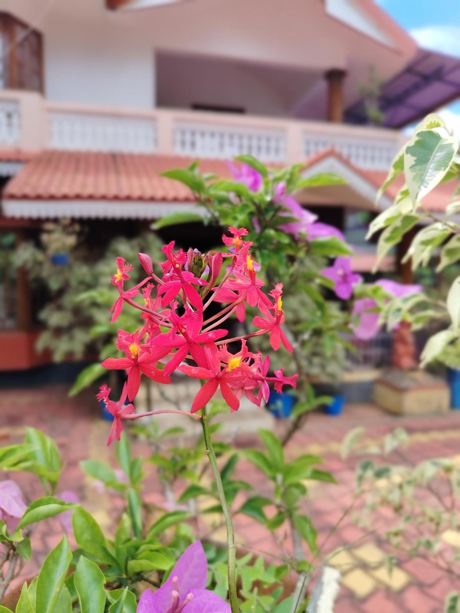 Shivalaya Homestay, Madikeri Siddāpur Buitenkant foto