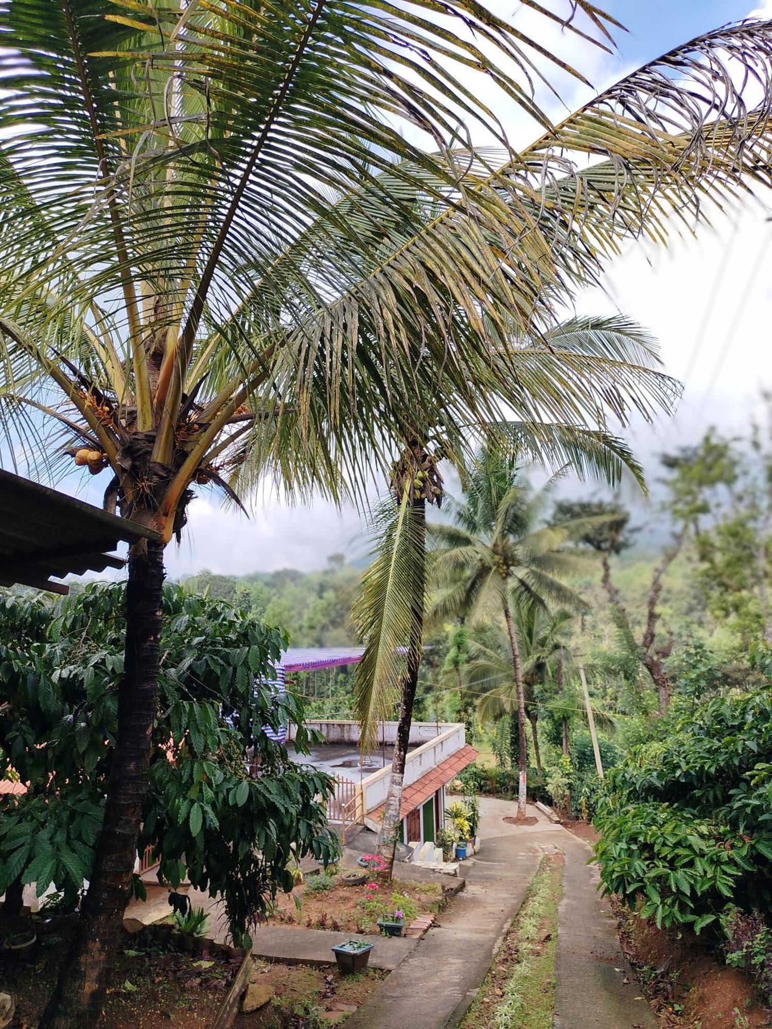 Shivalaya Homestay, Madikeri Siddāpur Buitenkant foto